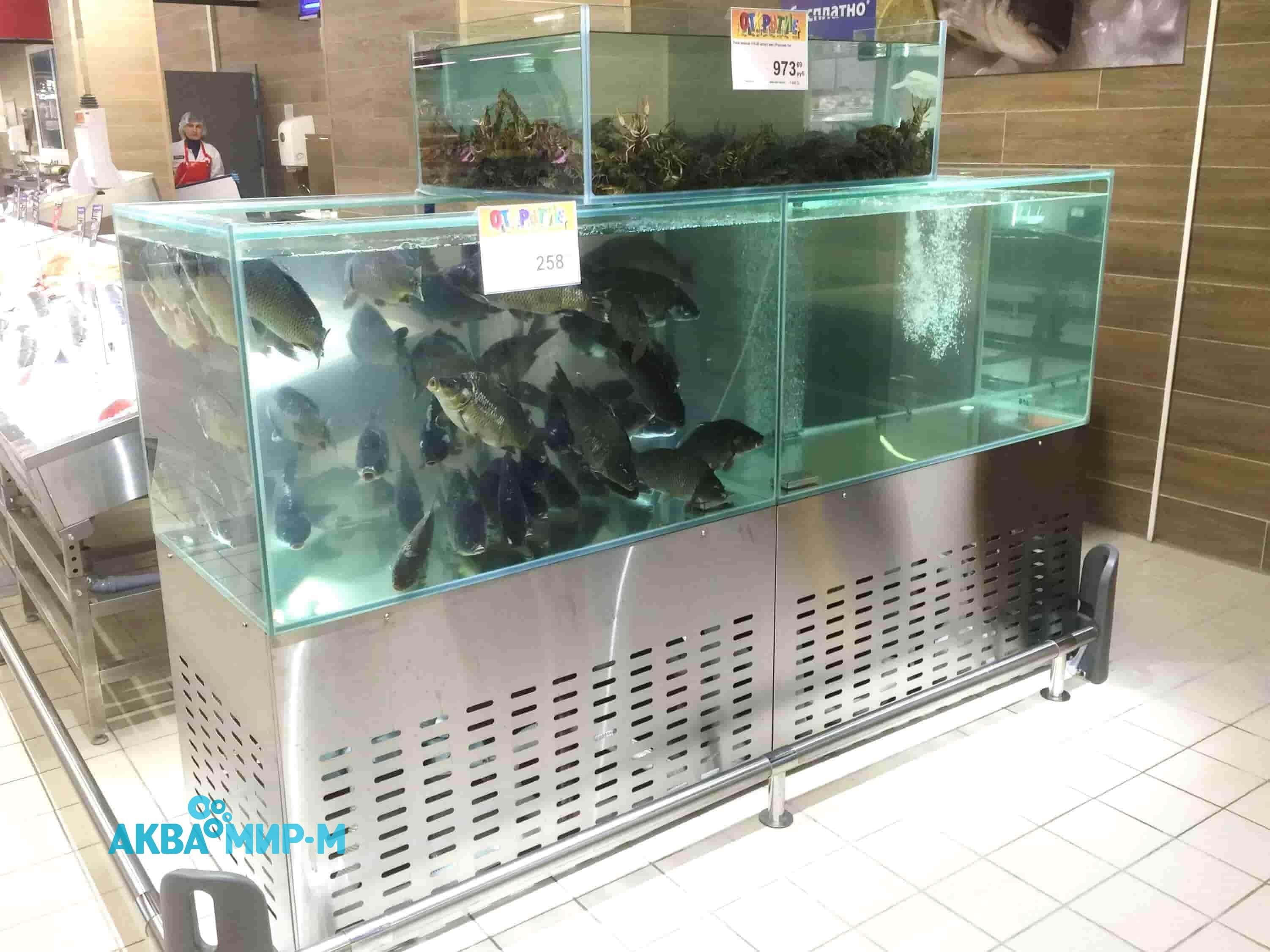 Промышленные аквариумы для продажи живой рыбы 